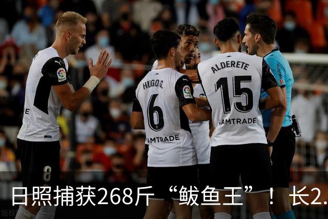 日照捕获268斤“鲅鱼王”！长2.46米！你这段买的水饺可能就是它！