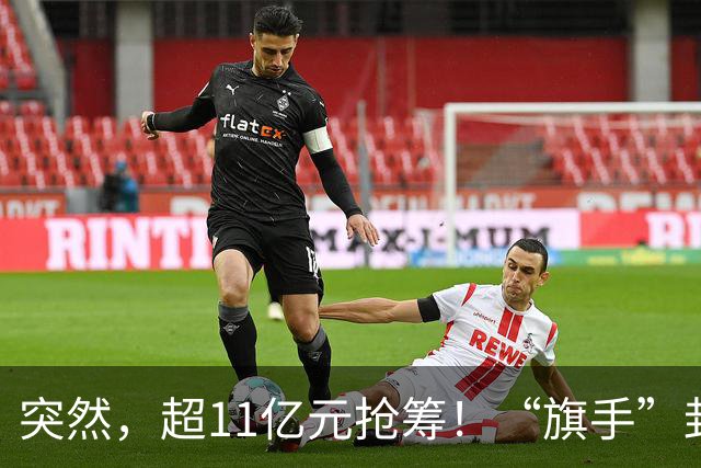 突然，超11亿元抢筹！“旗手”封死涨停，发生了什么？